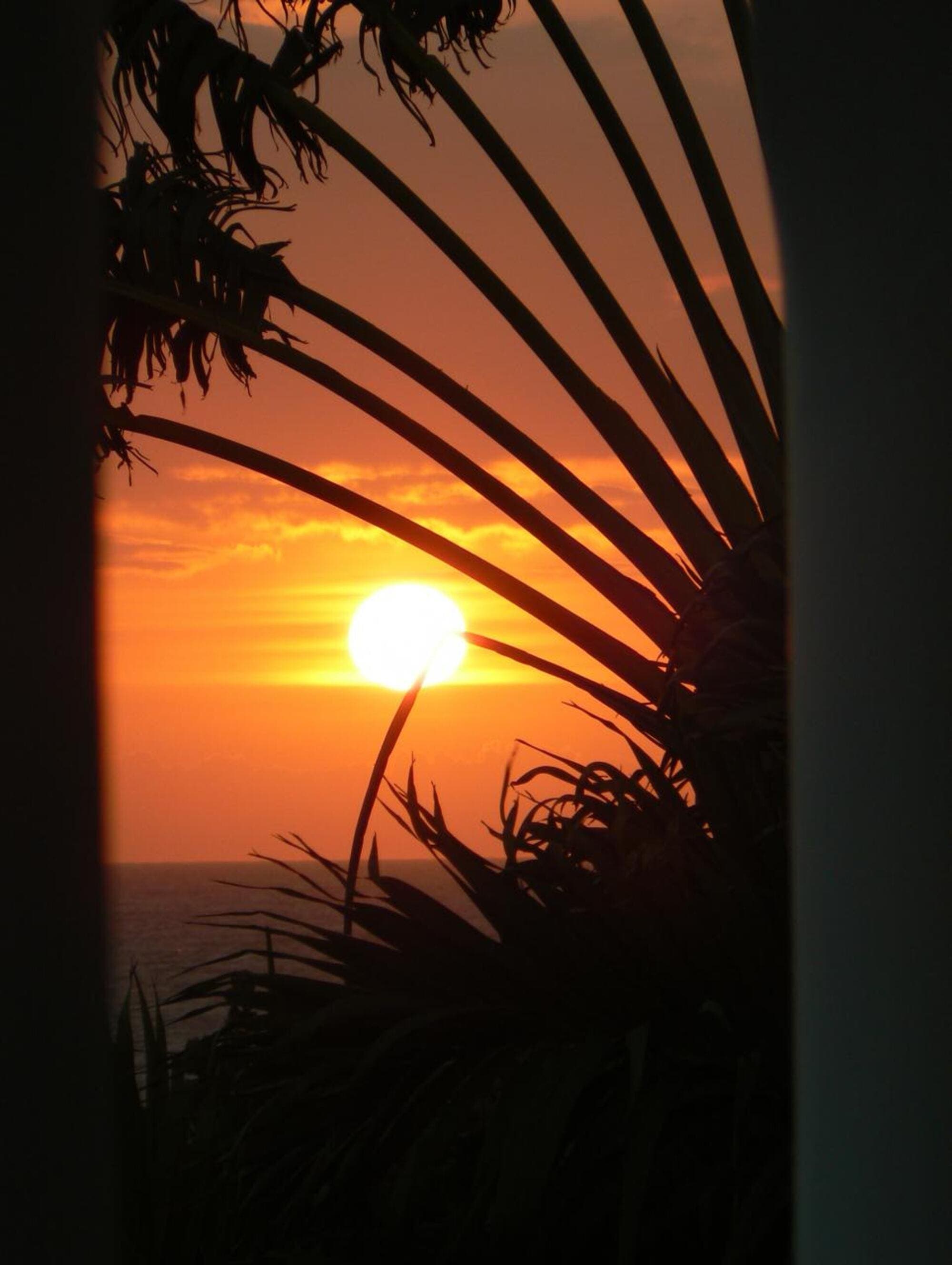 Property features at Beyond Sunset Resort